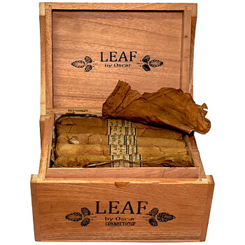 Leaf by Oscar Connecticut Toro