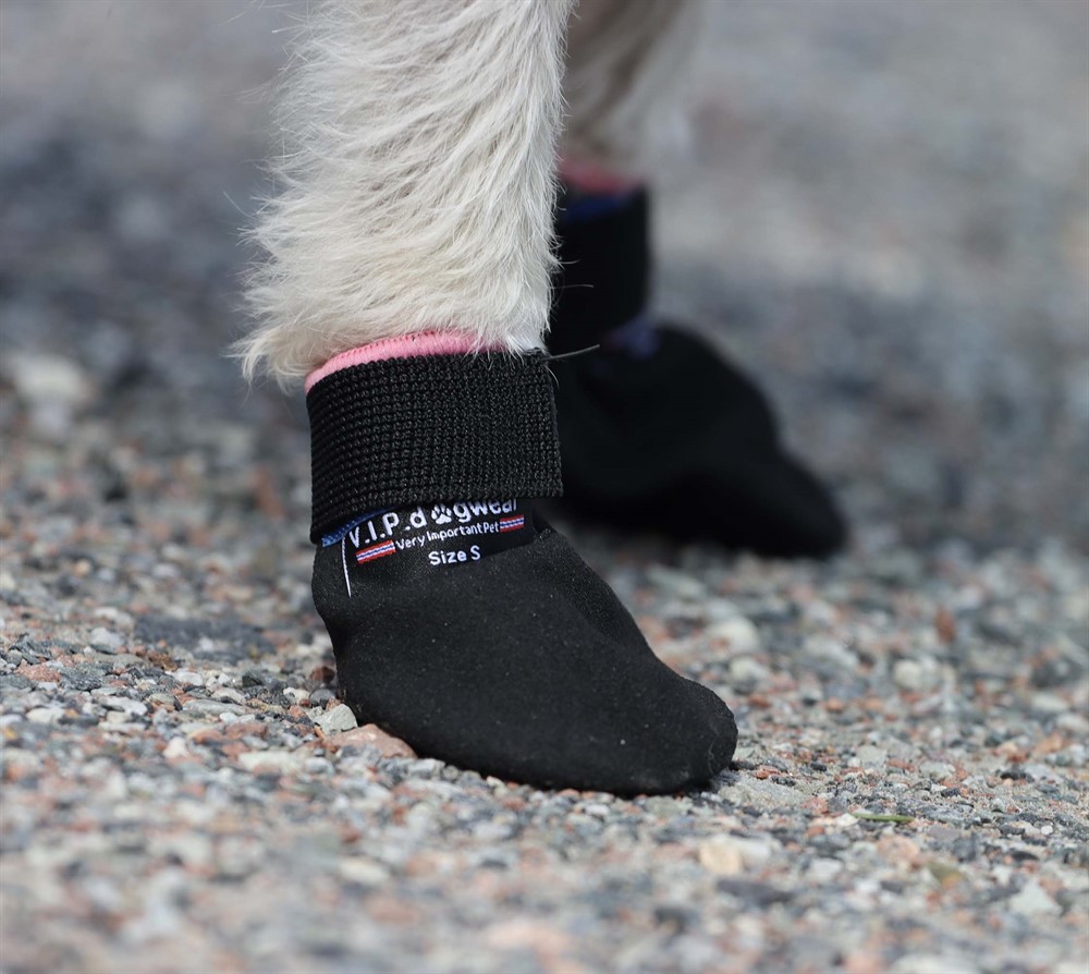 Hundsko MAX Protect, Svart - 2