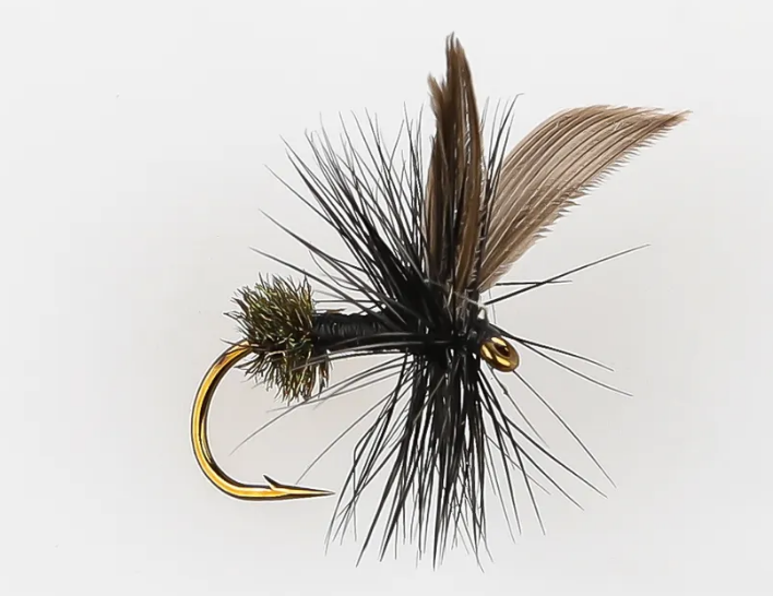 Danofly - Black Ant Dry #14
