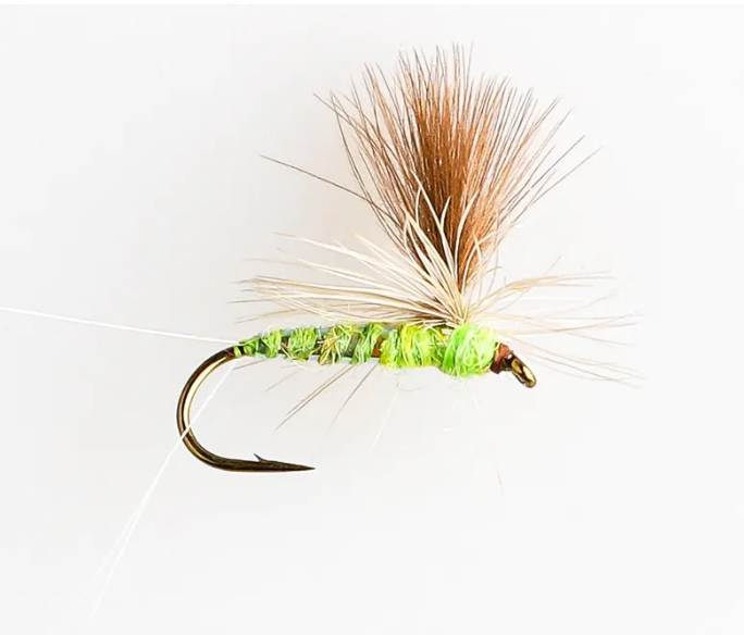 Danofly - Olive Flash #14