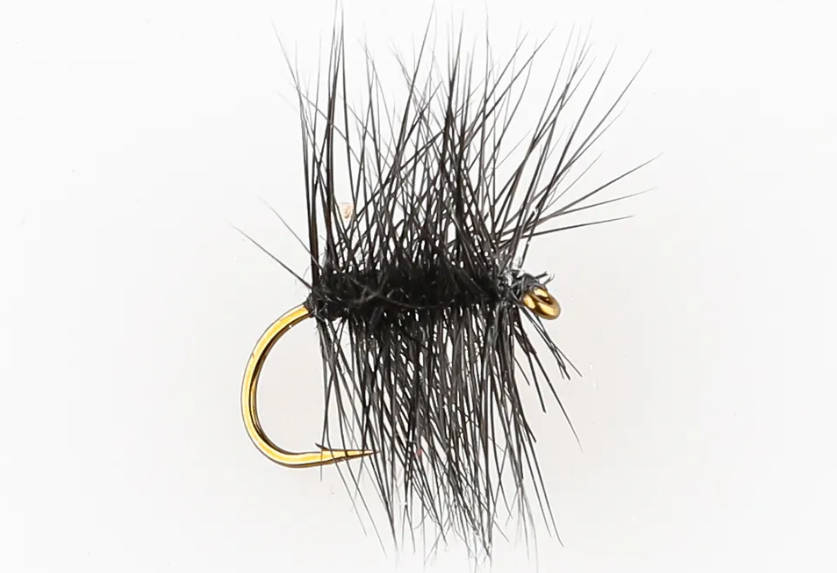 Danofly - Black Palmer Dry #16