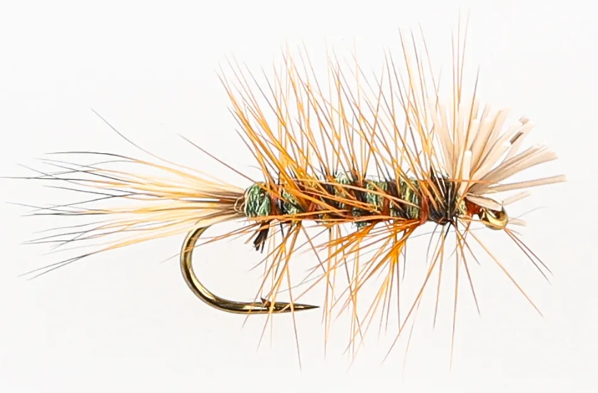 Danofly - The Animal Olive #14