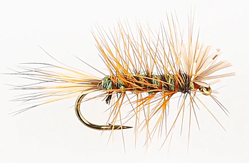 Danofly - The Animal Olive #14