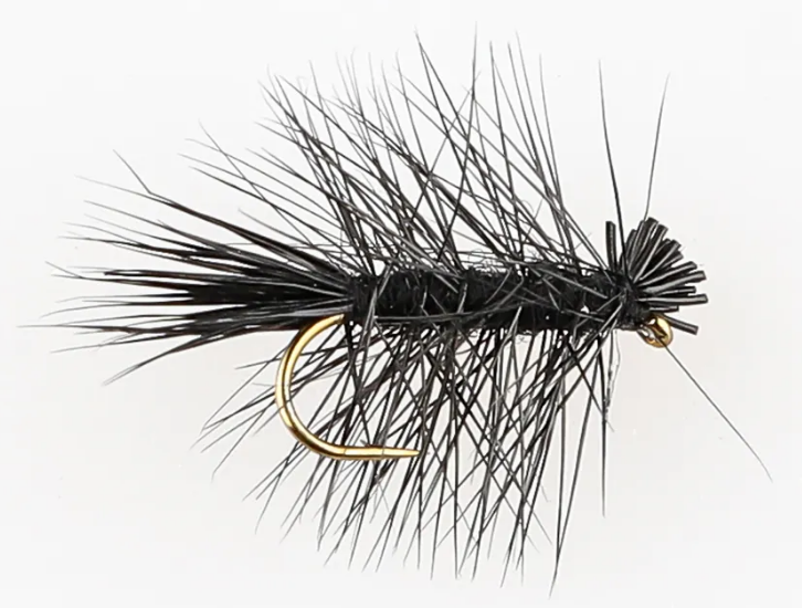 Danofly - The Animal Black #14