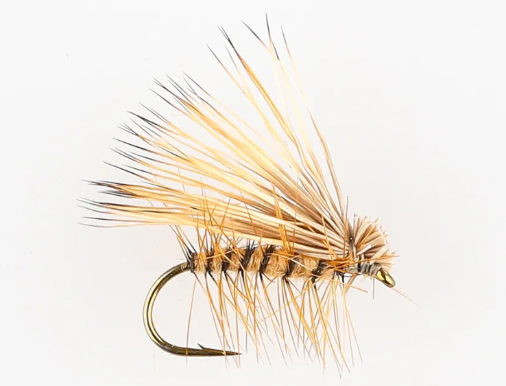 Danofly - Elk Hair Caddis Dry #14