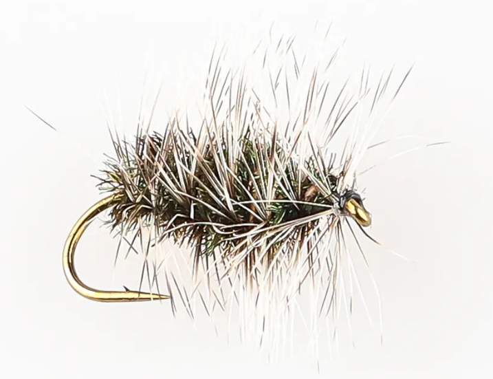 Danofly - Griffiths Gnat Dry #14
