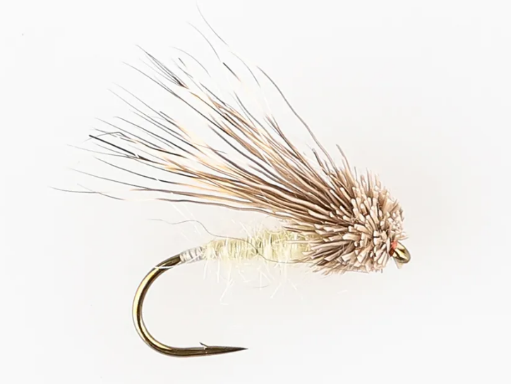 Danofly - Streaking Caddis Cream Dry #14