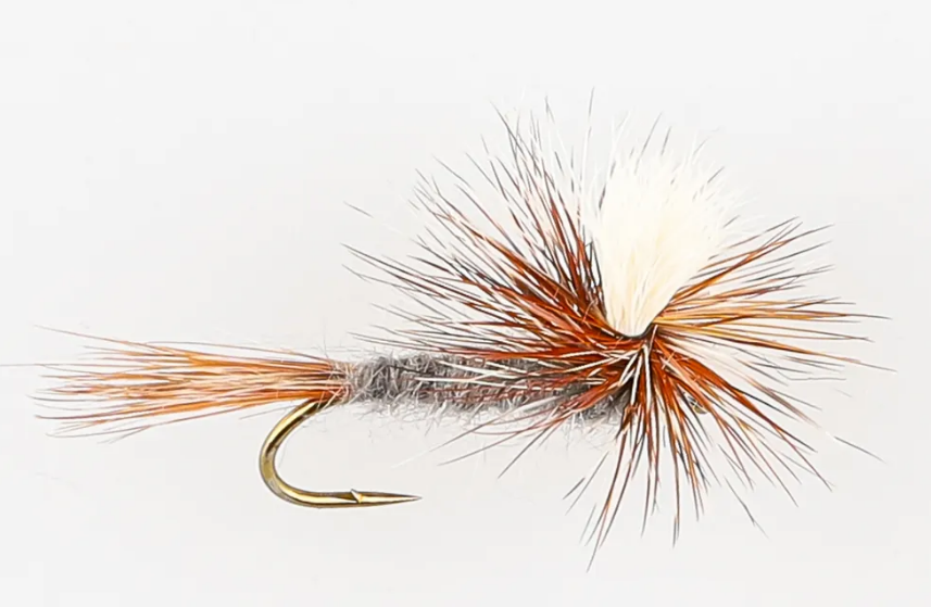 Danofly - Adams Parachute #12