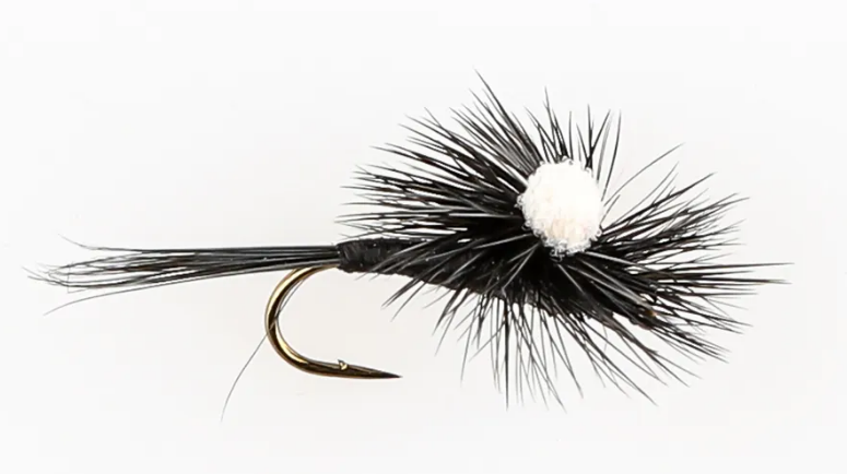 Danofly - Black Gnat Para #16