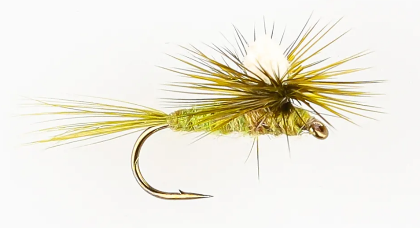 Danofly - Olive Dun Para #14