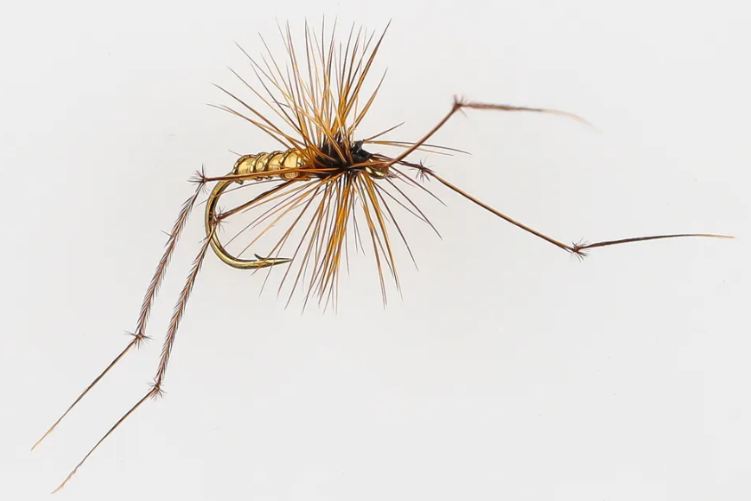 Danofly - Daddy Long Legs #12