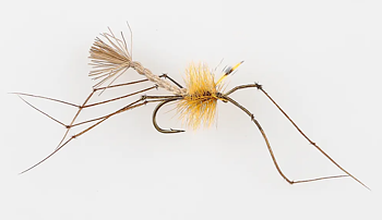 Danofly - Detached Daddy Long Legs #12