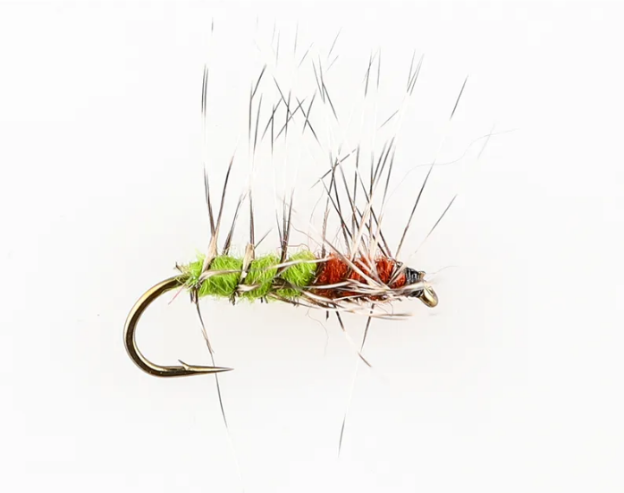 Danofly - Superpuppa Olive/Brun#14
