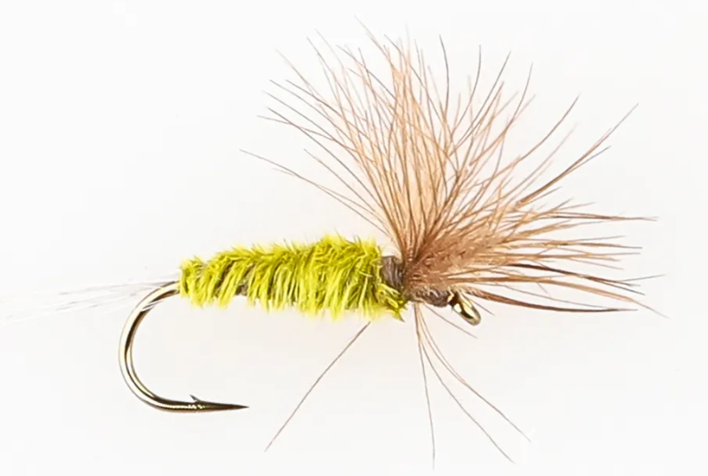Danofly - Olive Spinner CDC #16