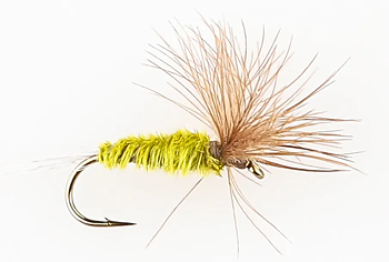 Danofly - Olive Spinner CDC #16