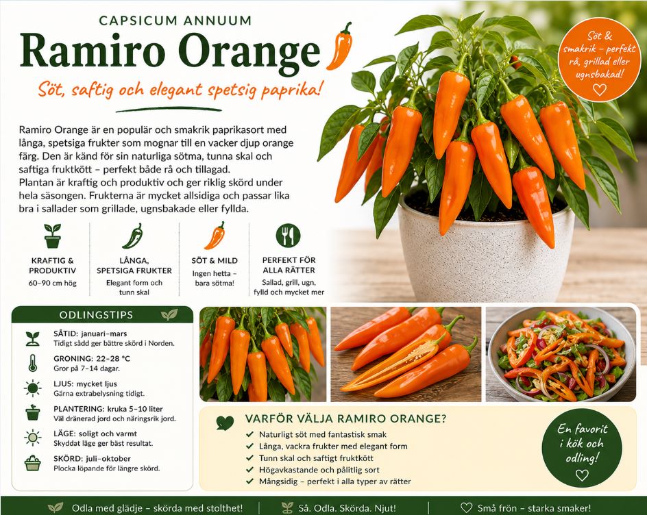 Paprika - ‘Ramiro Orange’  Söt, saftig och elegant spetsig paprika