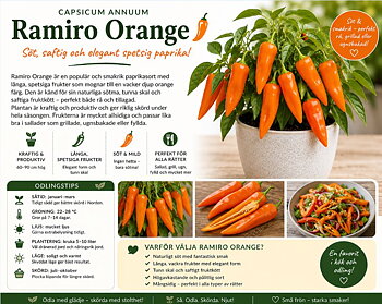 Paprika - ‘Ramiro Orange’  Söt, saftig och elegant spetsig paprika