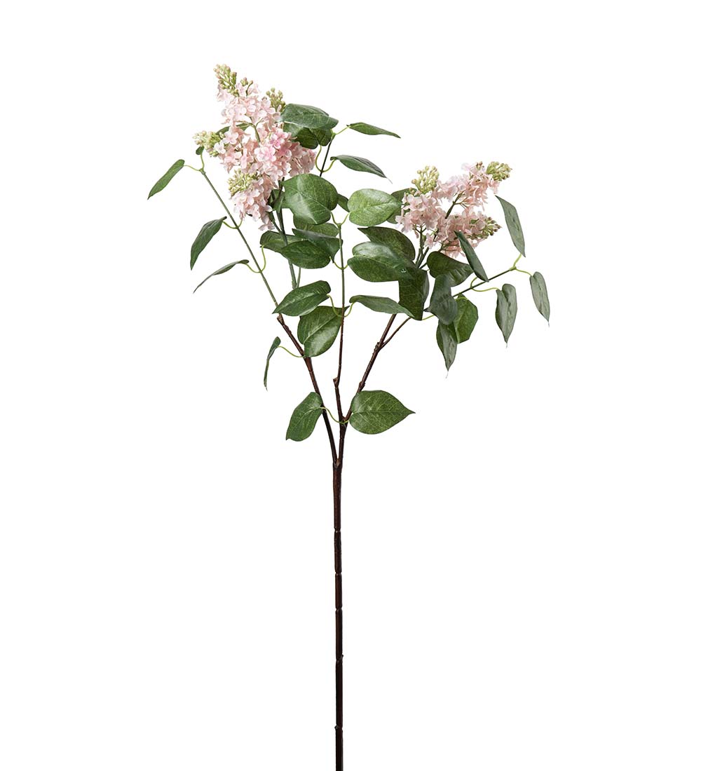 Lilac Twig Pink - 100 cm
