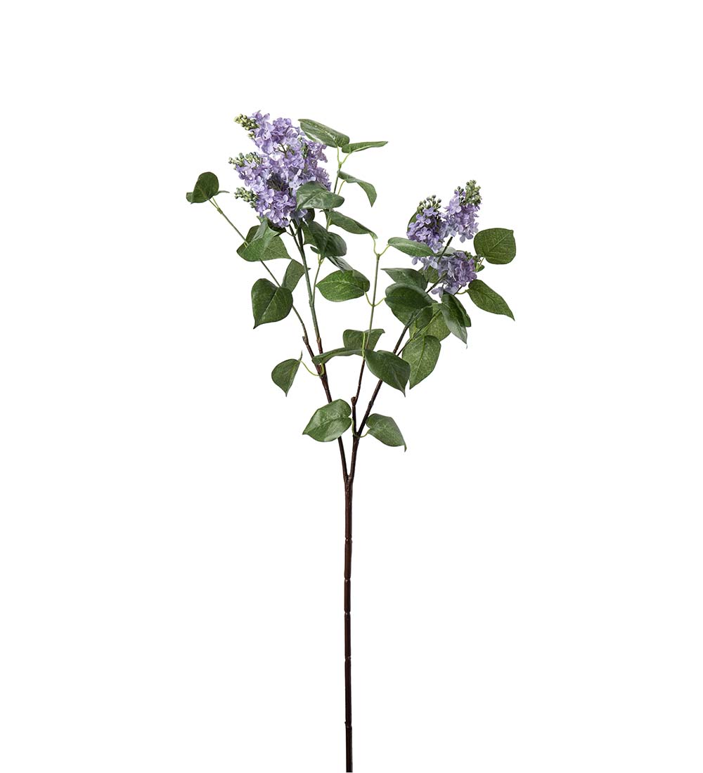 Lilac Twig Blue/Purple - 100 cm
