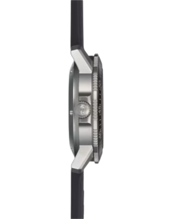 603.010  Sinn EZM 3 canvas