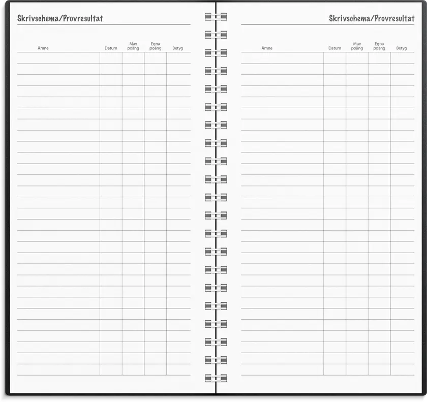 Stora Studieåret Basic 26/27 - 3
