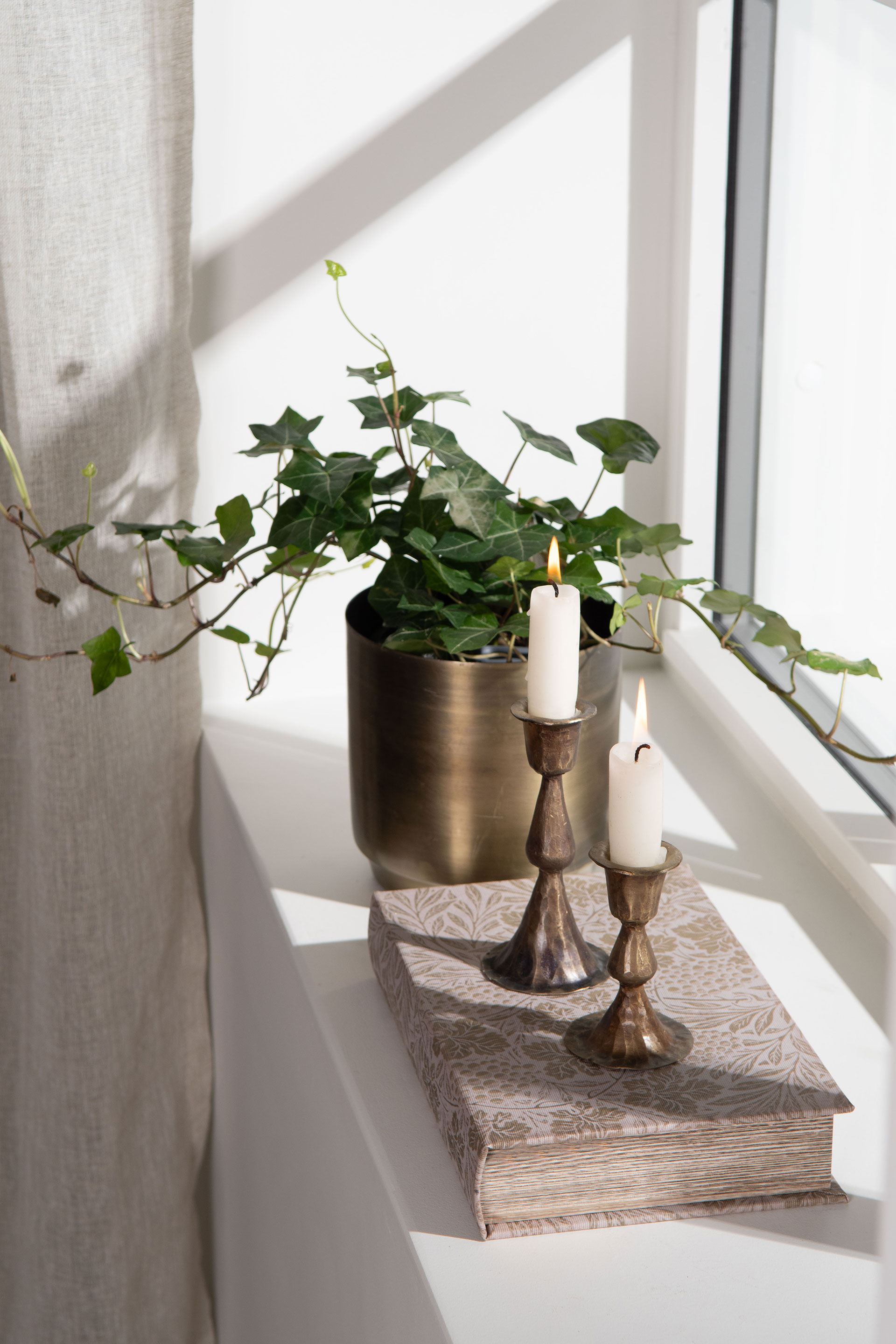 Boklåda beige/grön - 4
