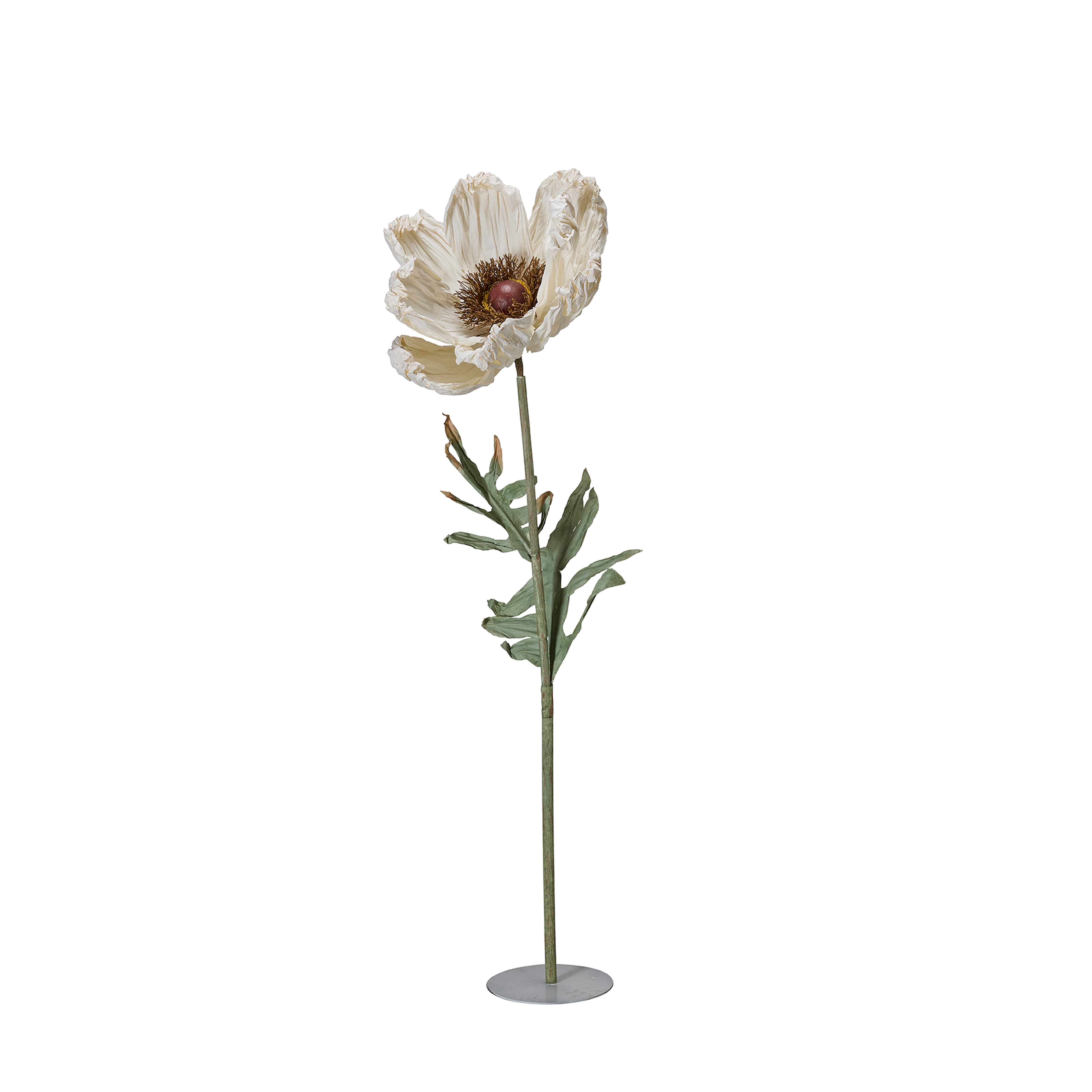 Evighetsblomma - VALLMO BIG - 6