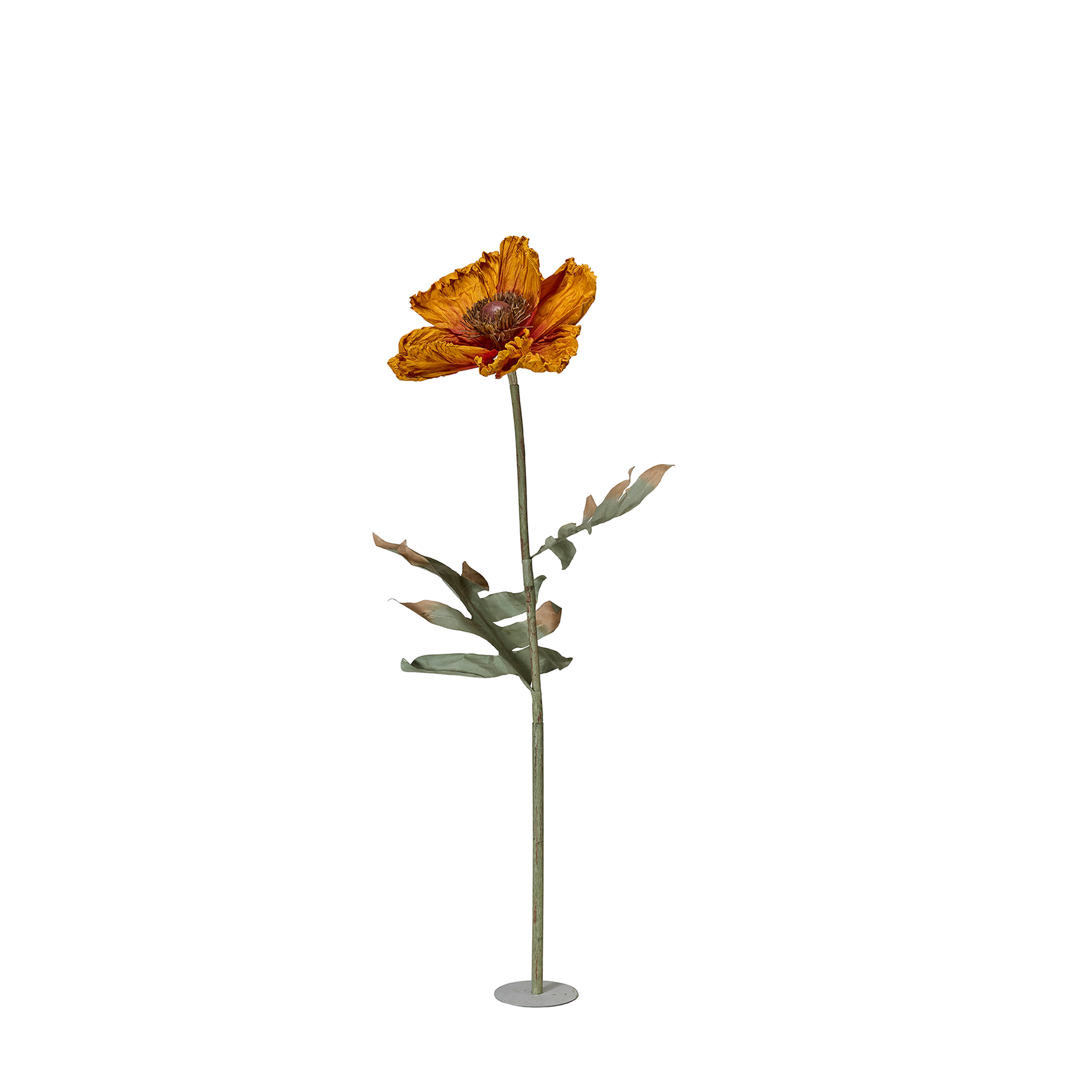 Evighetsblomma - VALLMO BIG - 5