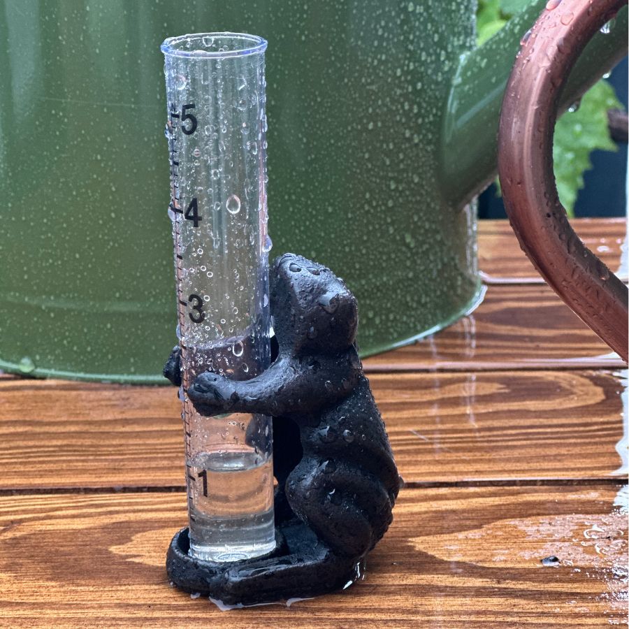 Rain gauge Frog - Cast iron - 14x6x5 cm - 2