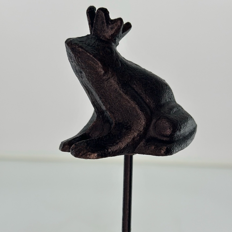 Rain gauge Frog - Cast iron -  66x8x5 cm - 3