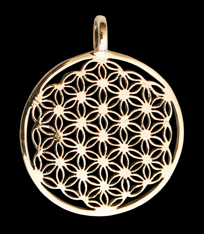 Stort och mycket vackert halsband i brons med flower of life.