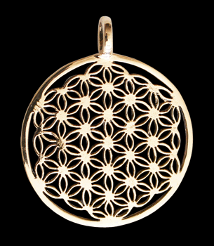 Stort och mycket vackert halsband i brons med flower of life.