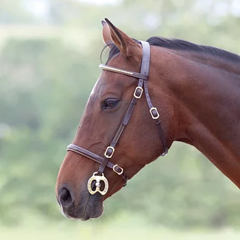 Shires Velociti GARA Clincher Utstillingshodelag