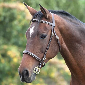 Shires Velociti GARA Fancy Stitched Utstillingshodelag