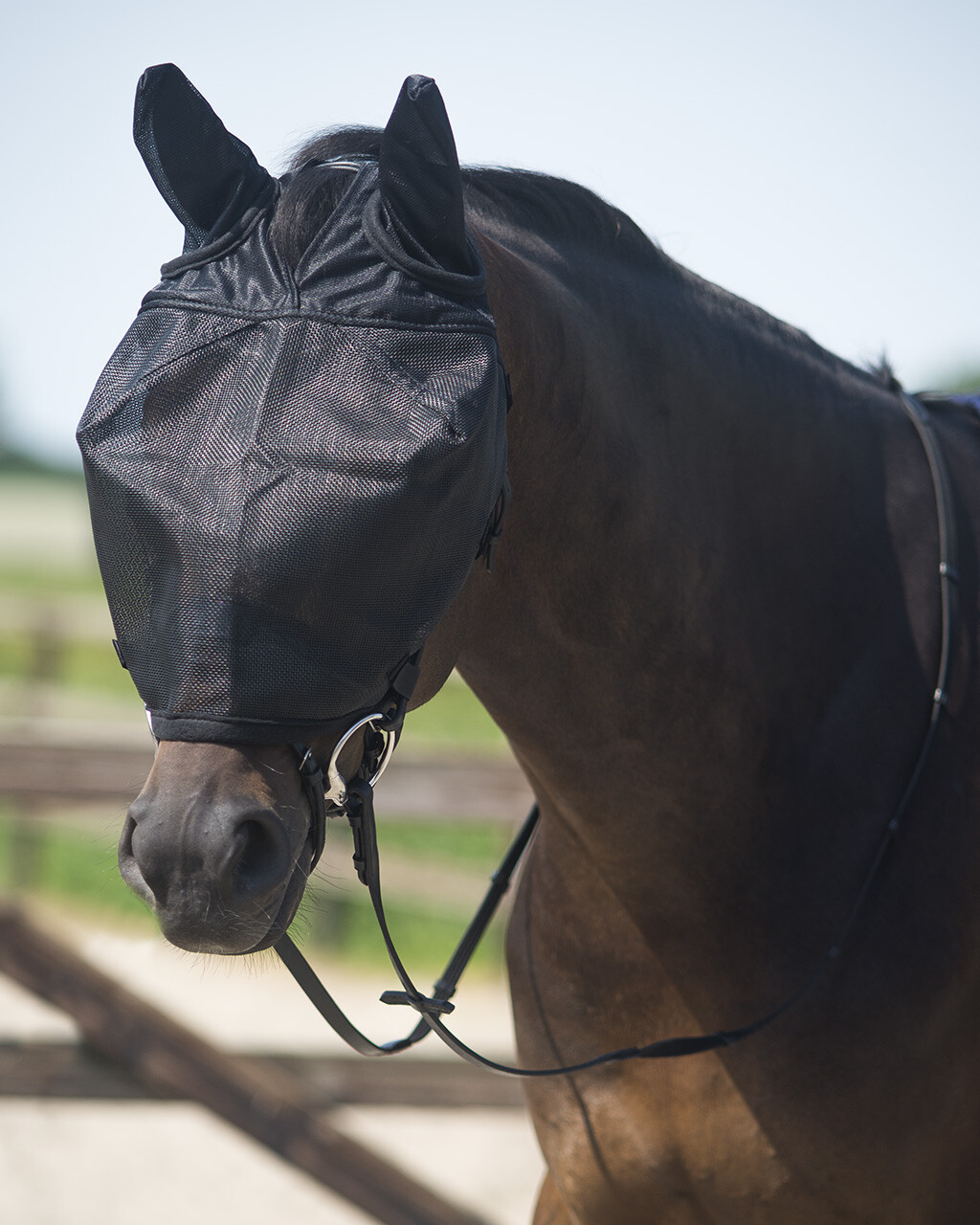 QHP fly mask for riding