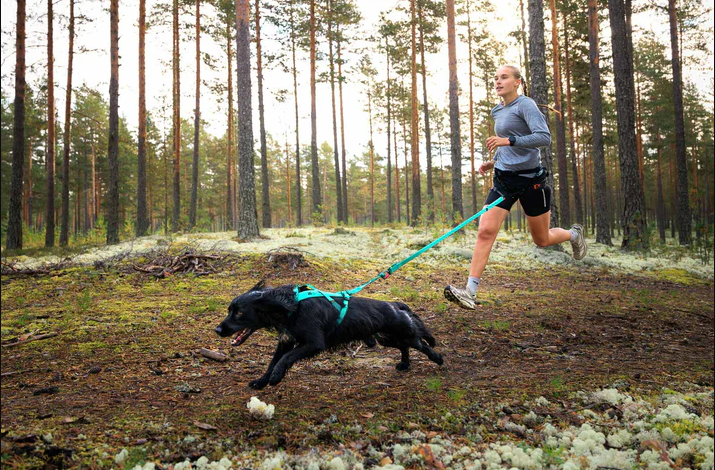 Non-Stop Bungee Leash 2.0m/23mm AQUA - 2