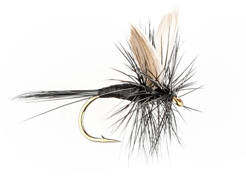 Danofly - Black Gnat #14