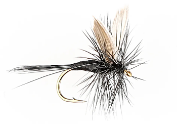 Danofly - Black Gnat #14