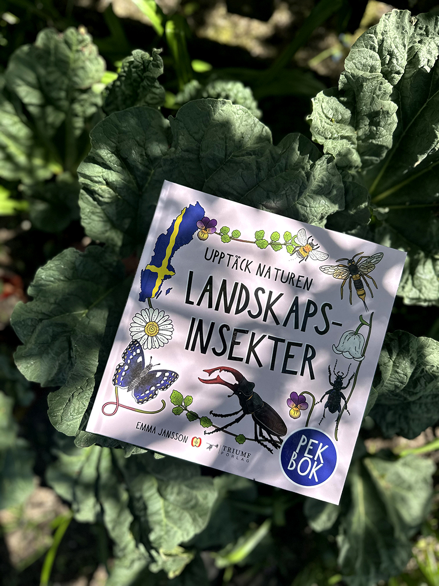 Pekbok - Landskapsinsekter - 2