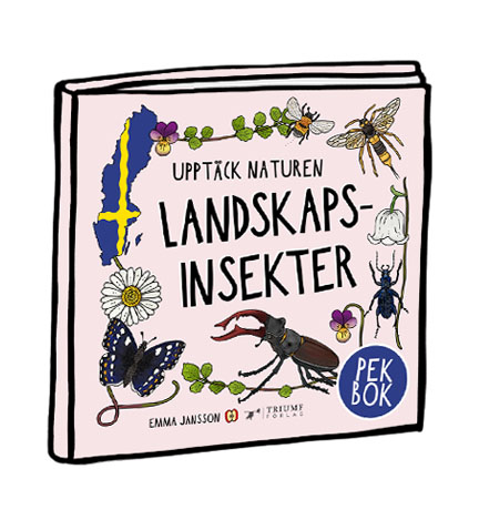 Pekbok - Landskapsinsekter