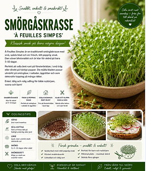 Smörgåskrasse - ‘À Feuilles Simples’  Klassisk smörgåskrasse med frisk smak och supersnabb skörd