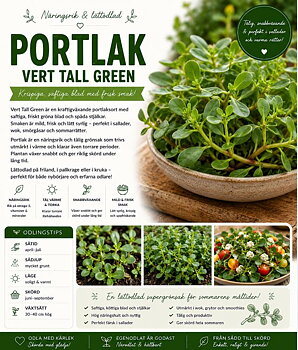 Trädgårdsportlak - ‘Vert Tall Green’  Krispig och näringsrik bladgrönsak med mild syrlighet