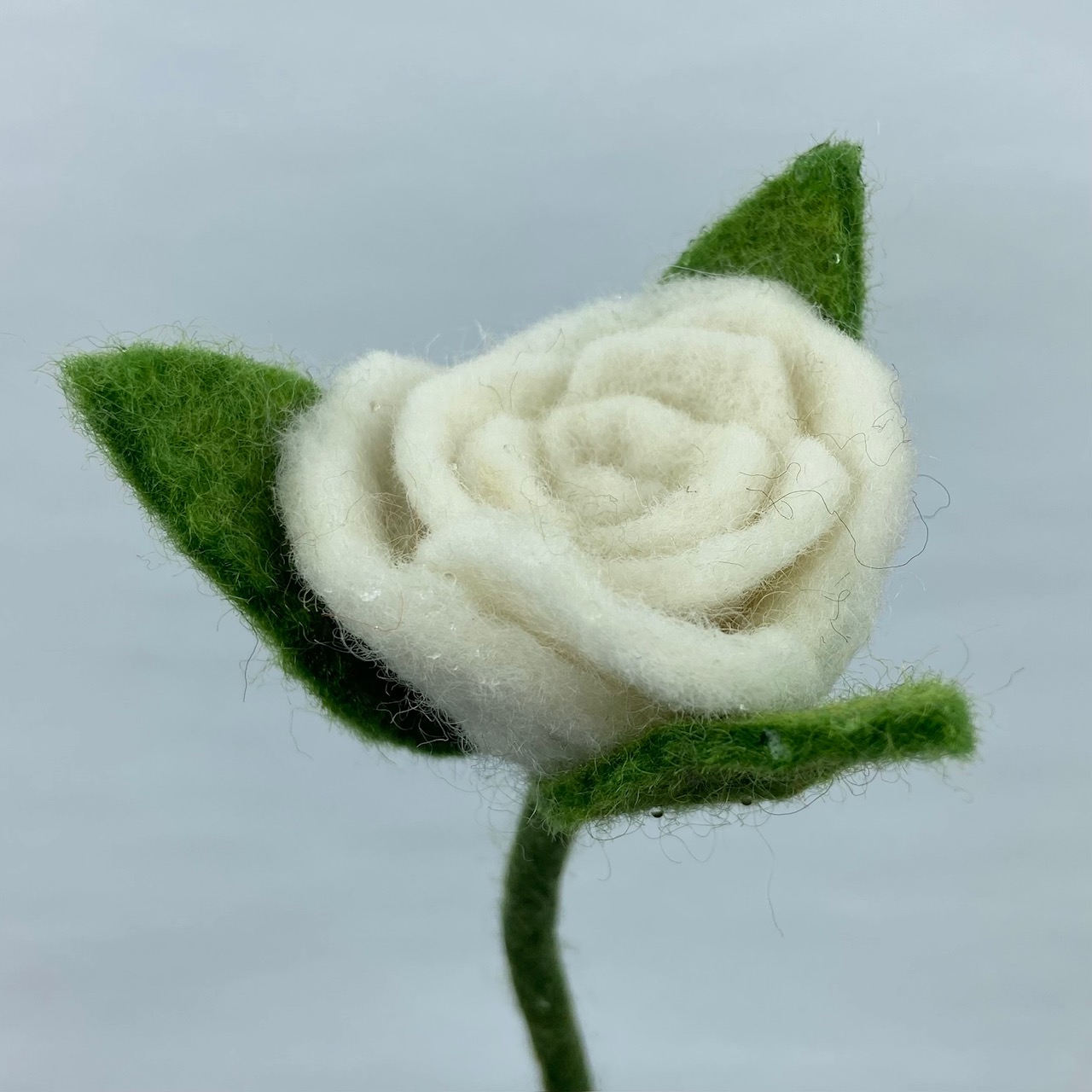 Bukett Kärlekens Ros av vackra Vita ullblommor - 3