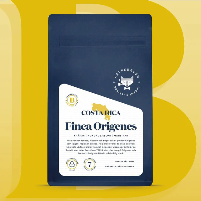 Kafferäven -  Finca Origenes - Costa Rica - Ljusrostade hela kaffebönor - 250g
