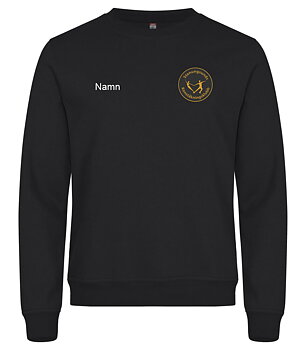 Sweatshirt STEKK