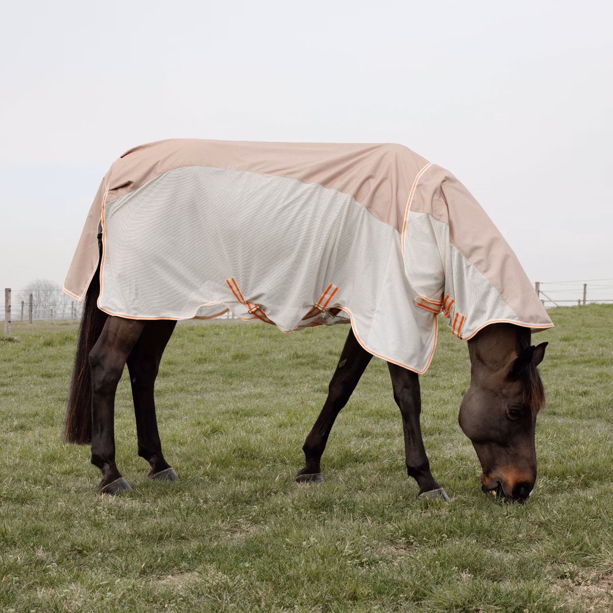 Kentucky Waterproof Combo Fly Rug Comfort