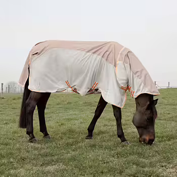 Kentucky Waterproof Combo Fly Rug Comfort