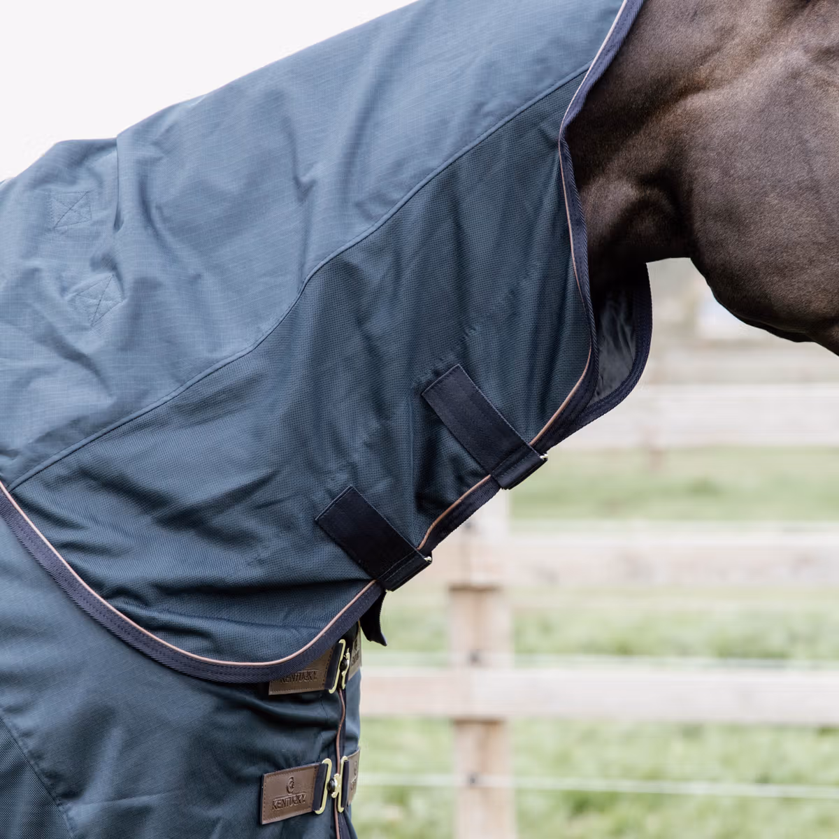 Kentucky Waterproof Combo Fly Rug Classic - 3
