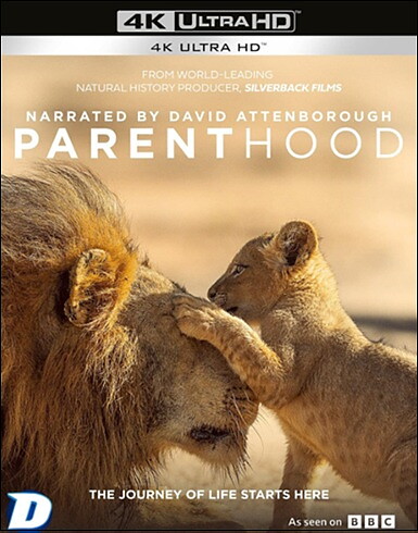 Parenthood (BLU-RAY 4K ULTRA HD)