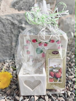 Paket 19-26
